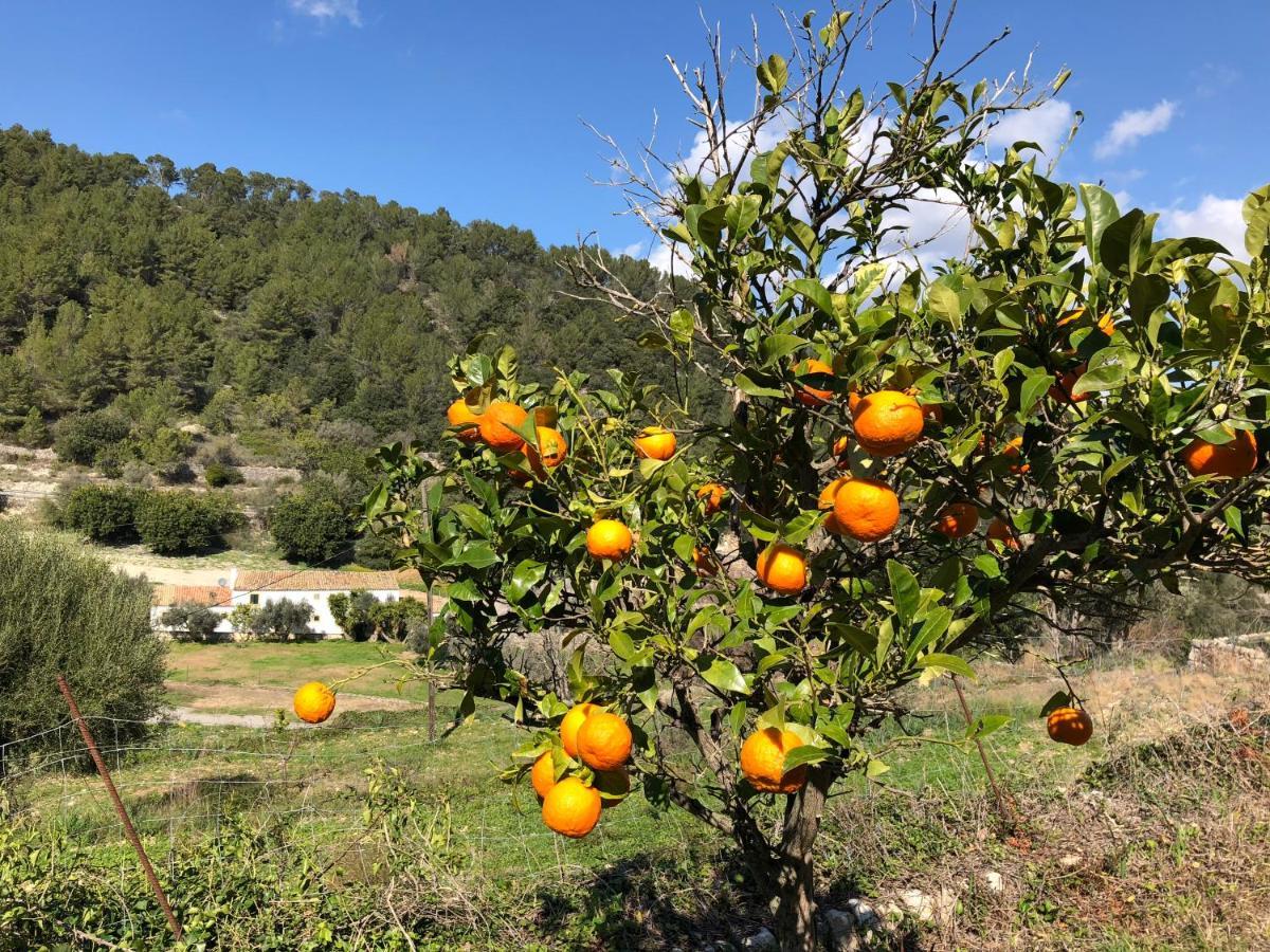 Agroturismo Finca Can Sec, Sl リョセタ エクステリア 写真